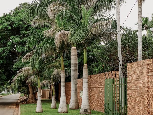 El Palmar Guesthouse